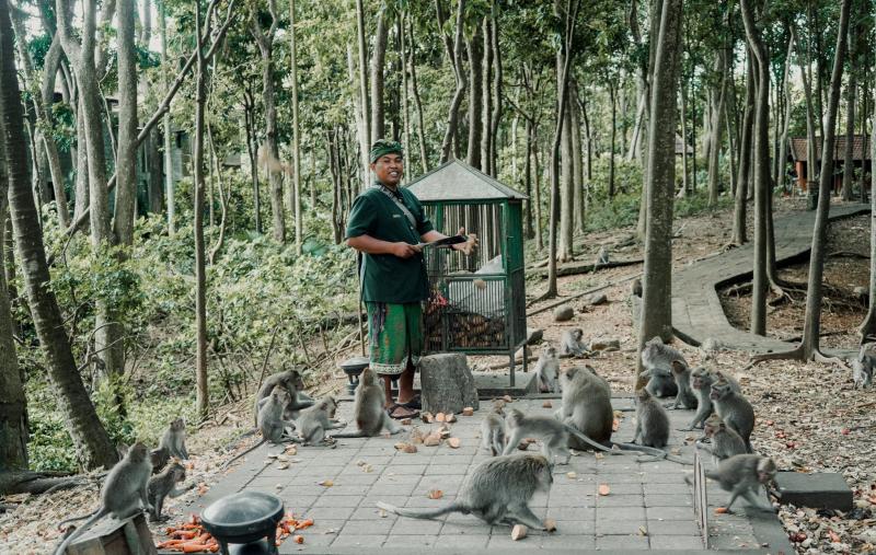 Tunggu Wisman, Monkey Forest Masih Ditutup Bali Tribune